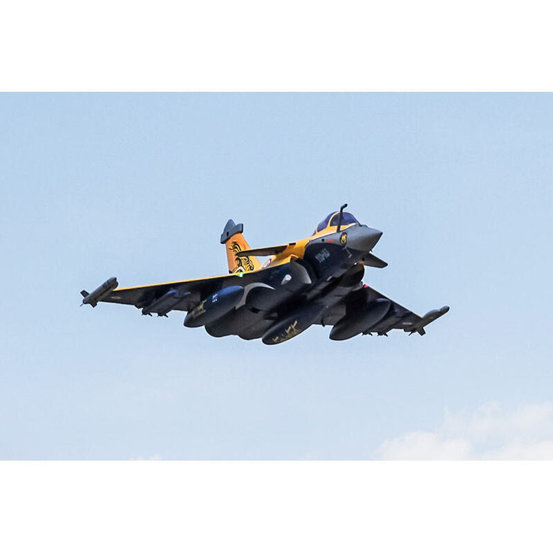 Rafale 80mm EDF  PNP